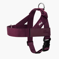 Bordeaux Rood