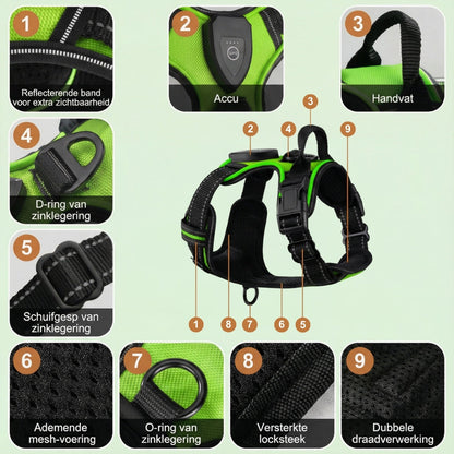 DierComfort GlowWalk™ – Veilig Op Pad, Dag en Nacht