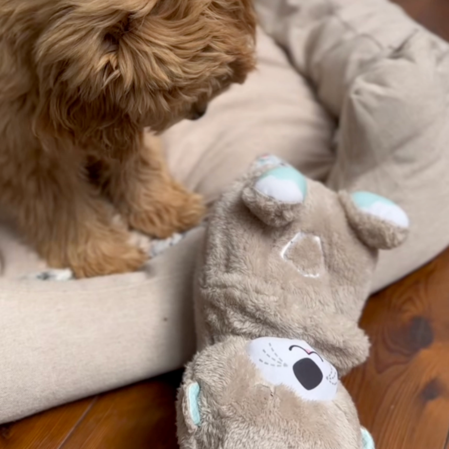 DierComfort™ Kalmerende Otter Knuffel