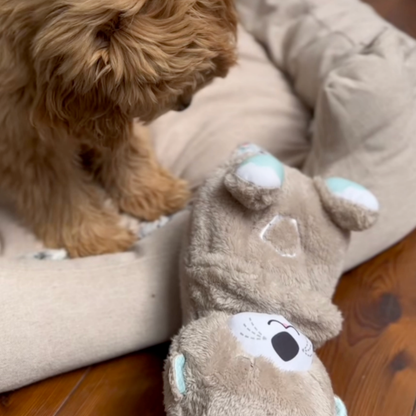 DierComfort™ Kalmerende Otter Knuffel