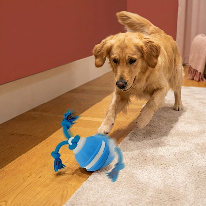 DierComfort™ PupPlay- Stevige hondenbal met bewegingssensor en trekkoord.