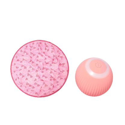 DogCatFri™ HuntingToy – 2-in-1 Interactief Jachtspelletje voor Hond & Kat