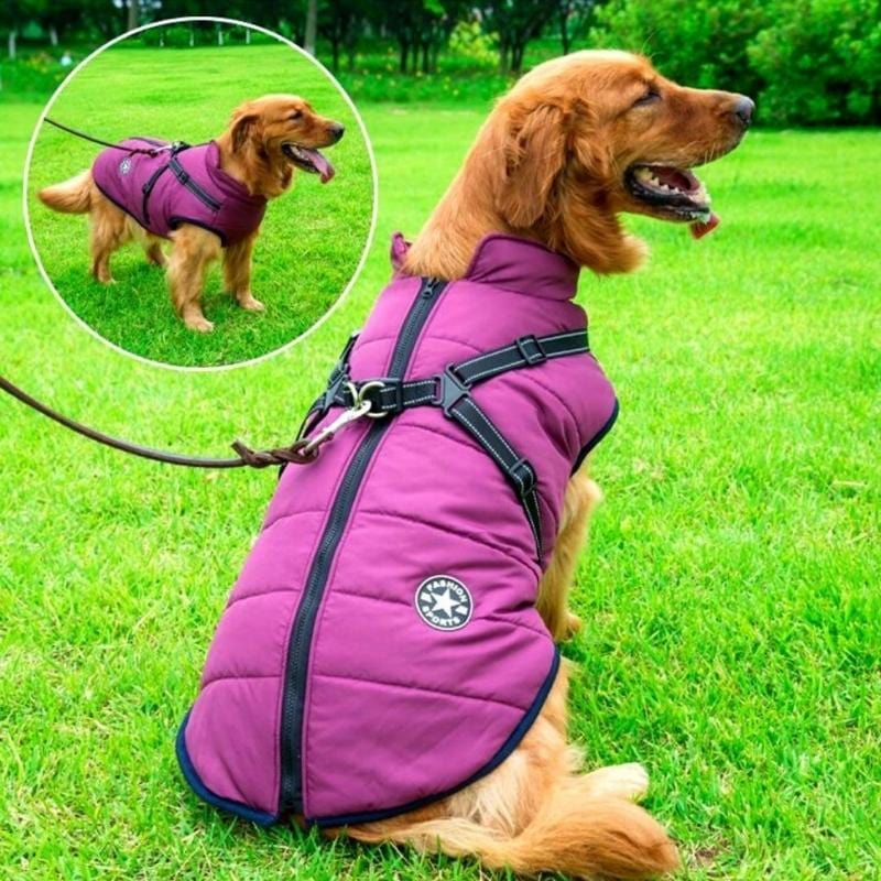 DierComfort™ FluffyFit | Bescherm je hond tegen de koude herfst & winterdagen!