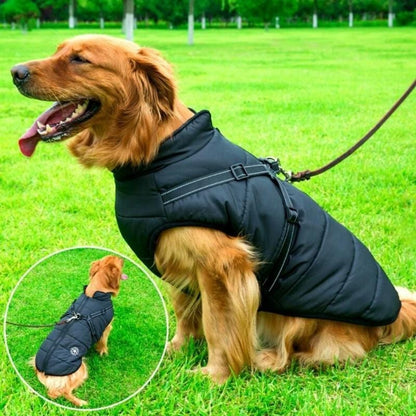 DierComfort™ FluffyFit | Bescherm je hond tegen de koude herfst & winterdagen!
