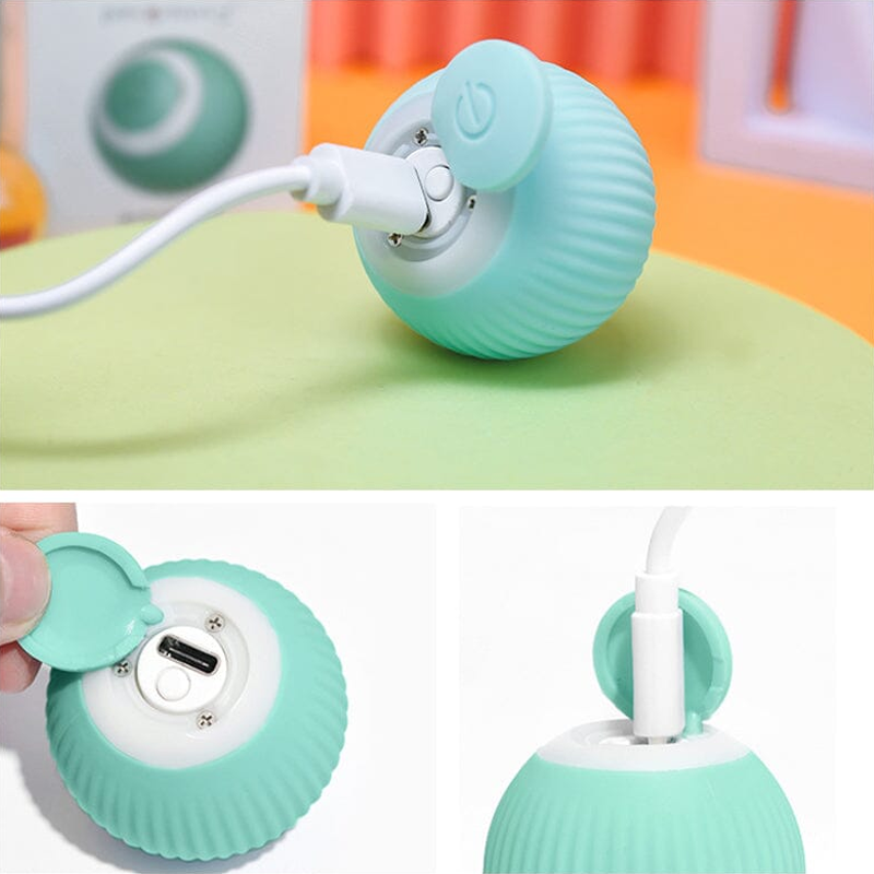 DogCatFri™ HuntingToy – 2-in-1 Interactief Jachtspelletje voor Hond & Kat