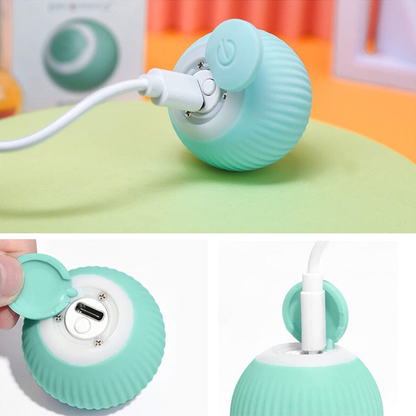 DogCatFri™ HuntingToy – 2-in-1 Interactief Jachtspelletje voor Hond & Kat