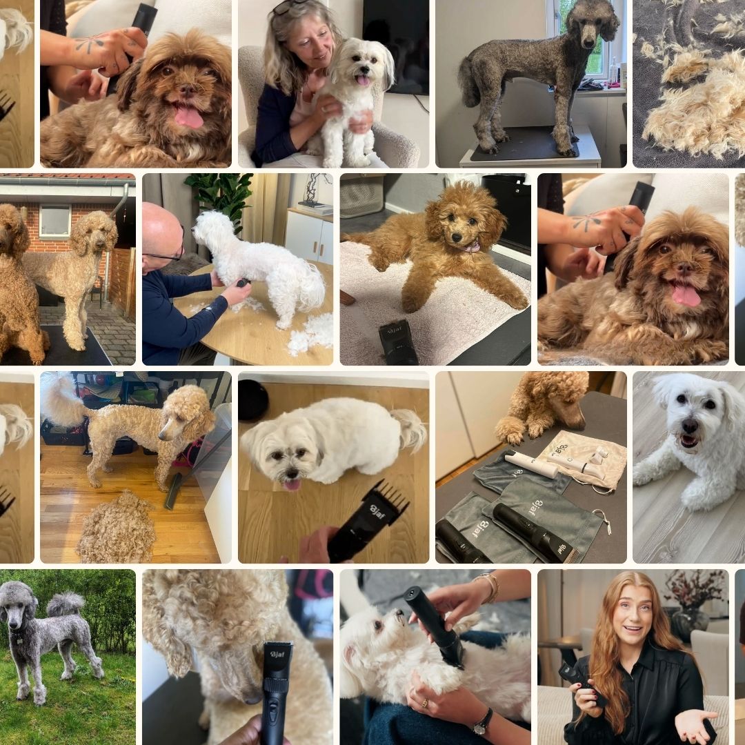 Bjaf Hondentondeuse Pro™