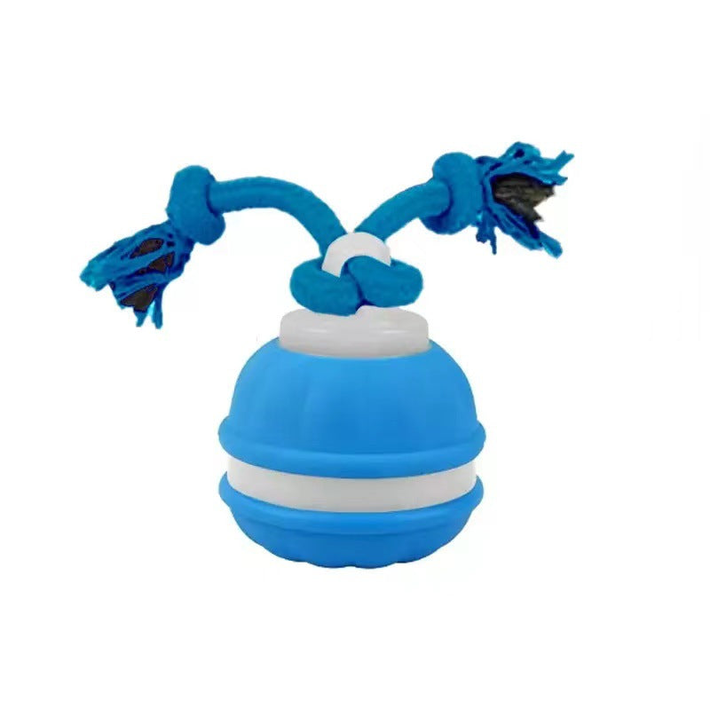 DierComfort™ PupPlay- Stevige hondenbal met bewegingssensor en trekkoord.