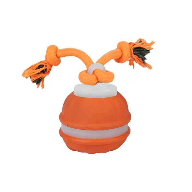 DierComfort™ PupPlay- Stevige hondenbal met bewegingssensor en trekkoord.