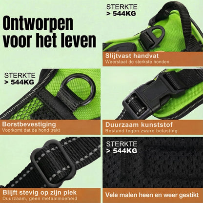 DierComfort GlowWalk™ – Veilig Op Pad, Dag en Nacht