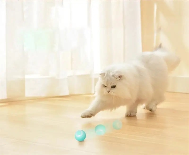 DogCatFri™ HuntingToy – 2-in-1 Interactief Jachtspelletje voor Hond & Kat