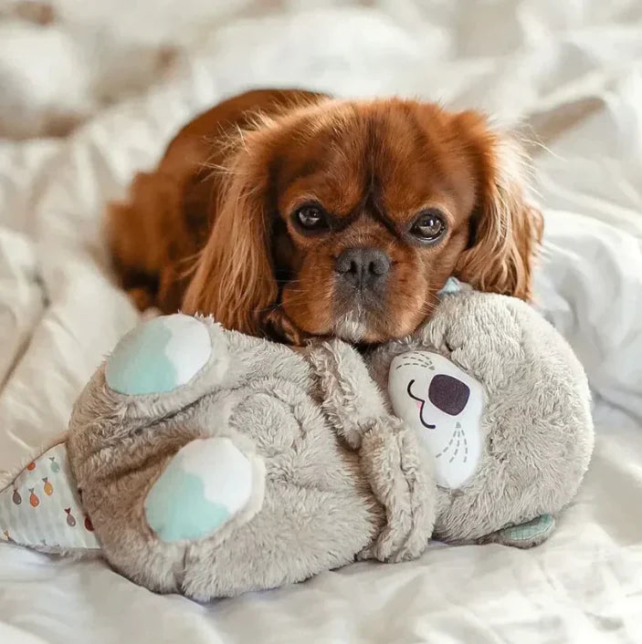 DierComfort™ Kalmerende Otter Knuffel