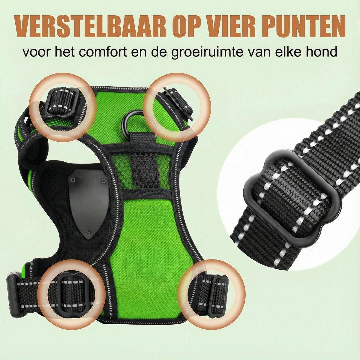 DierComfort GlowWalk™ – Veilig Op Pad, Dag en Nacht