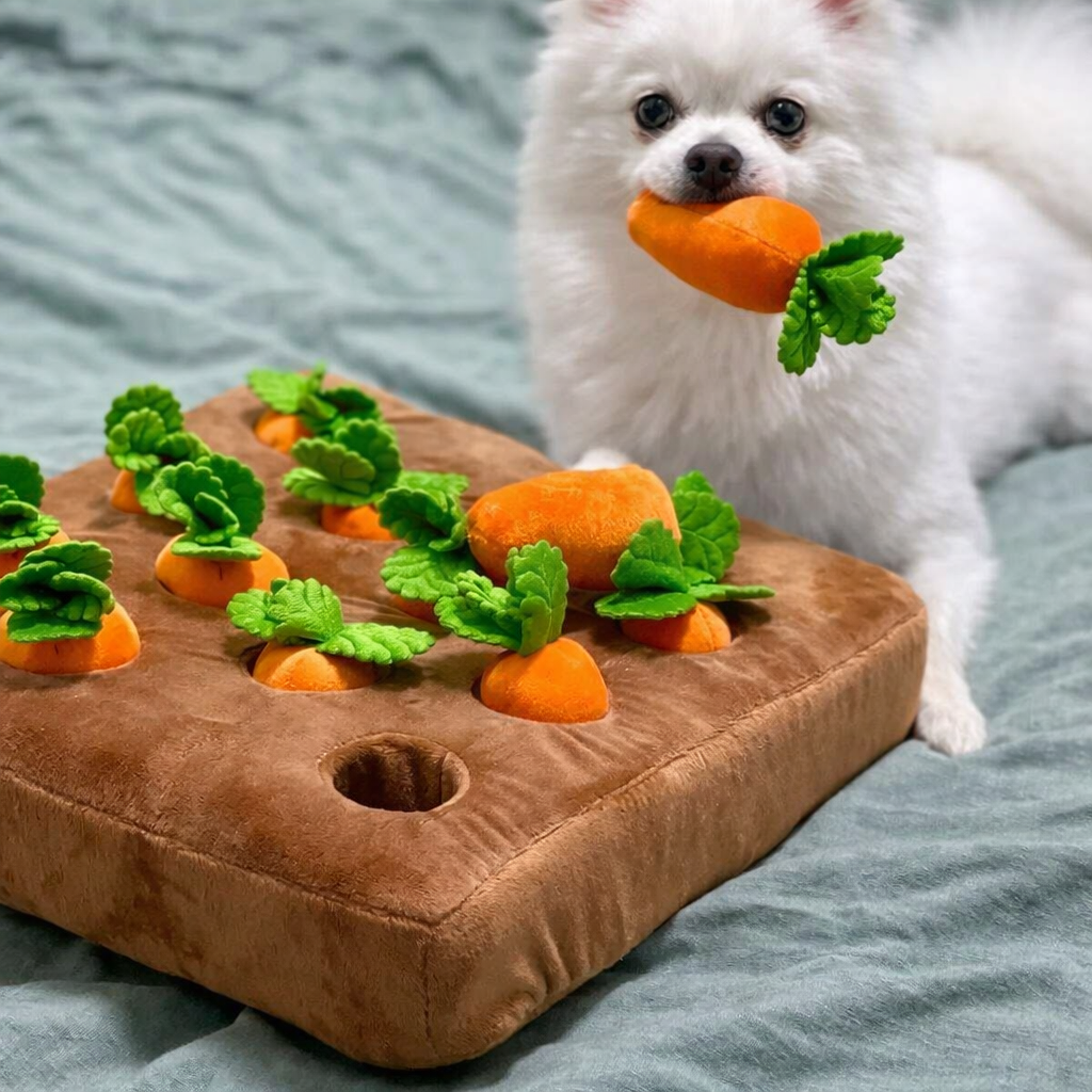 Interactieve Snuffelmat voor Honden | Wortel Verstop Speelgoed