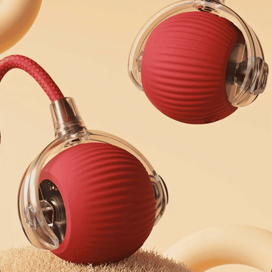 Interactieve Speelbal voor Kat & Hond