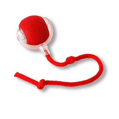 Interactieve Speelbal voor Kat & Hond