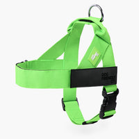 Neon Groen