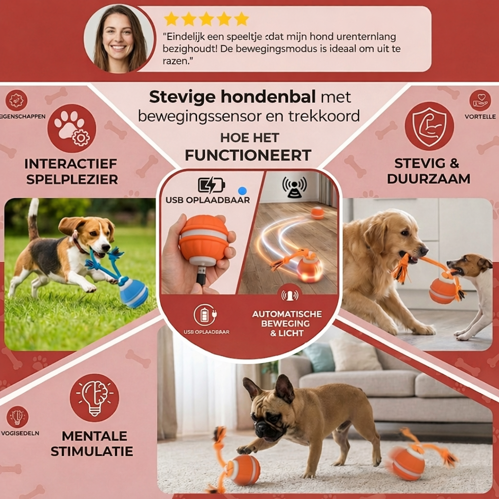 DierComfort™ PupPlay- Stevige hondenbal met bewegingssensor en trekkoord.