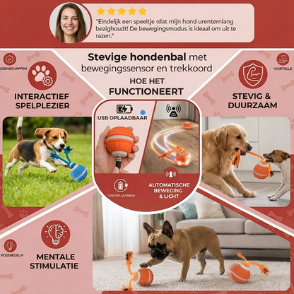 DierComfort™ PupPlay- Stevige hondenbal met bewegingssensor en trekkoord.