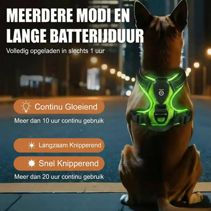 DierComfort GlowWalk™ – Veilig Op Pad, Dag en Nacht