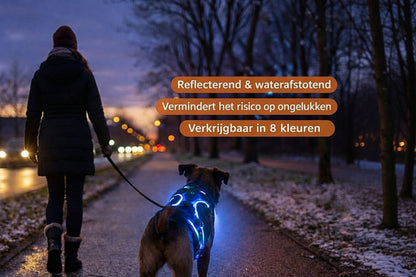 DierComfort GlowWalk™ – Veilig Op Pad, Dag en Nacht