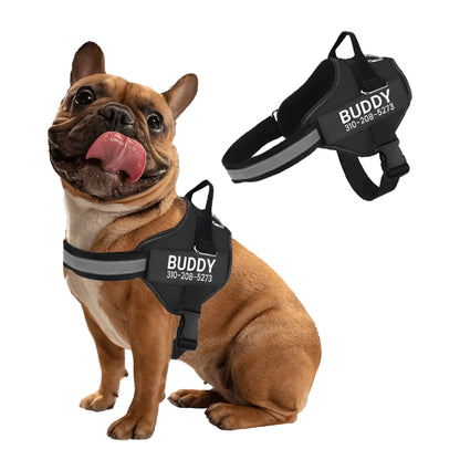 DierComfort™ – Het Gepersonaliseerde No-Pull Veiligheidstuig voor Honden