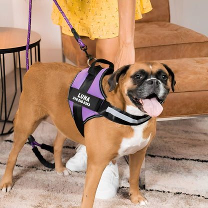 DierComfort™ – Het Gepersonaliseerde No-Pull Veiligheidstuig voor Honden