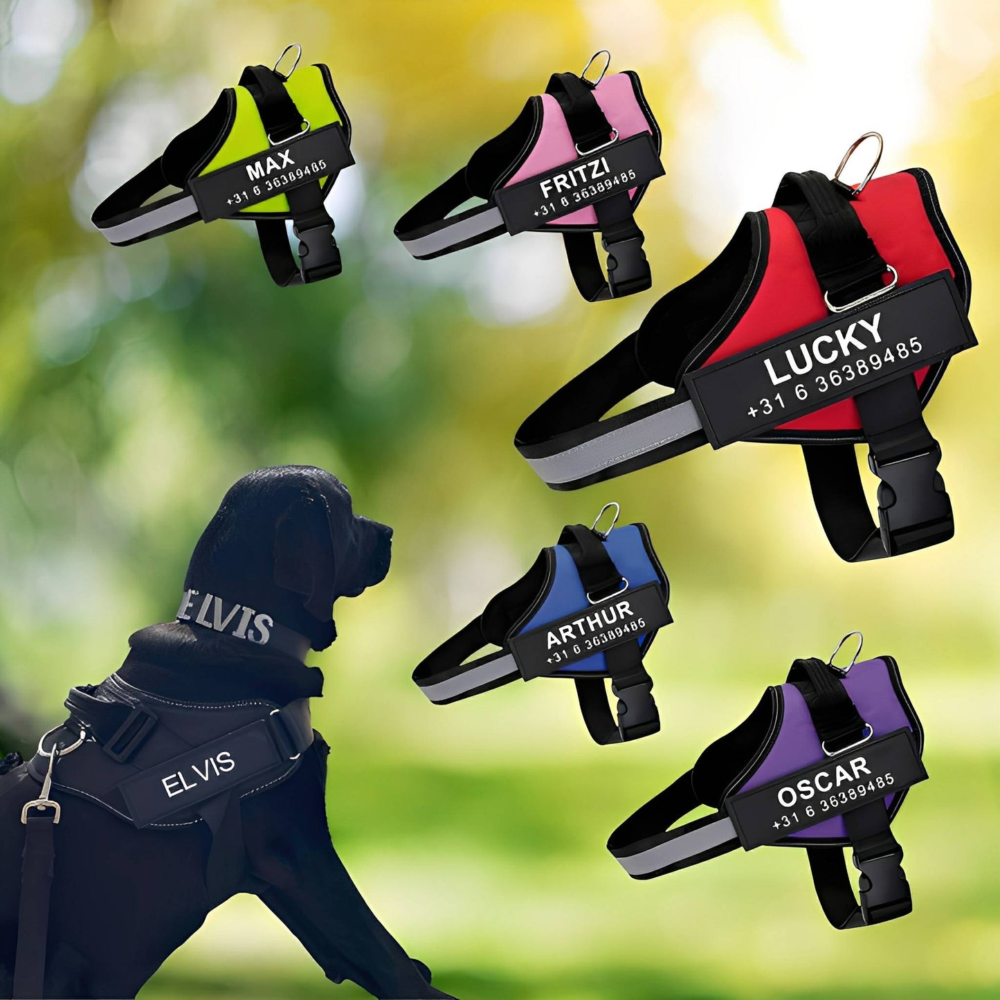 DierComfort™ – Het Gepersonaliseerde No-Pull Veiligheidstuig voor Honden