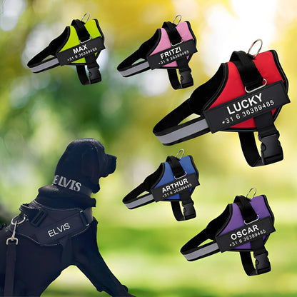 DierComfort™ – Het Gepersonaliseerde No-Pull Veiligheidstuig voor Honden