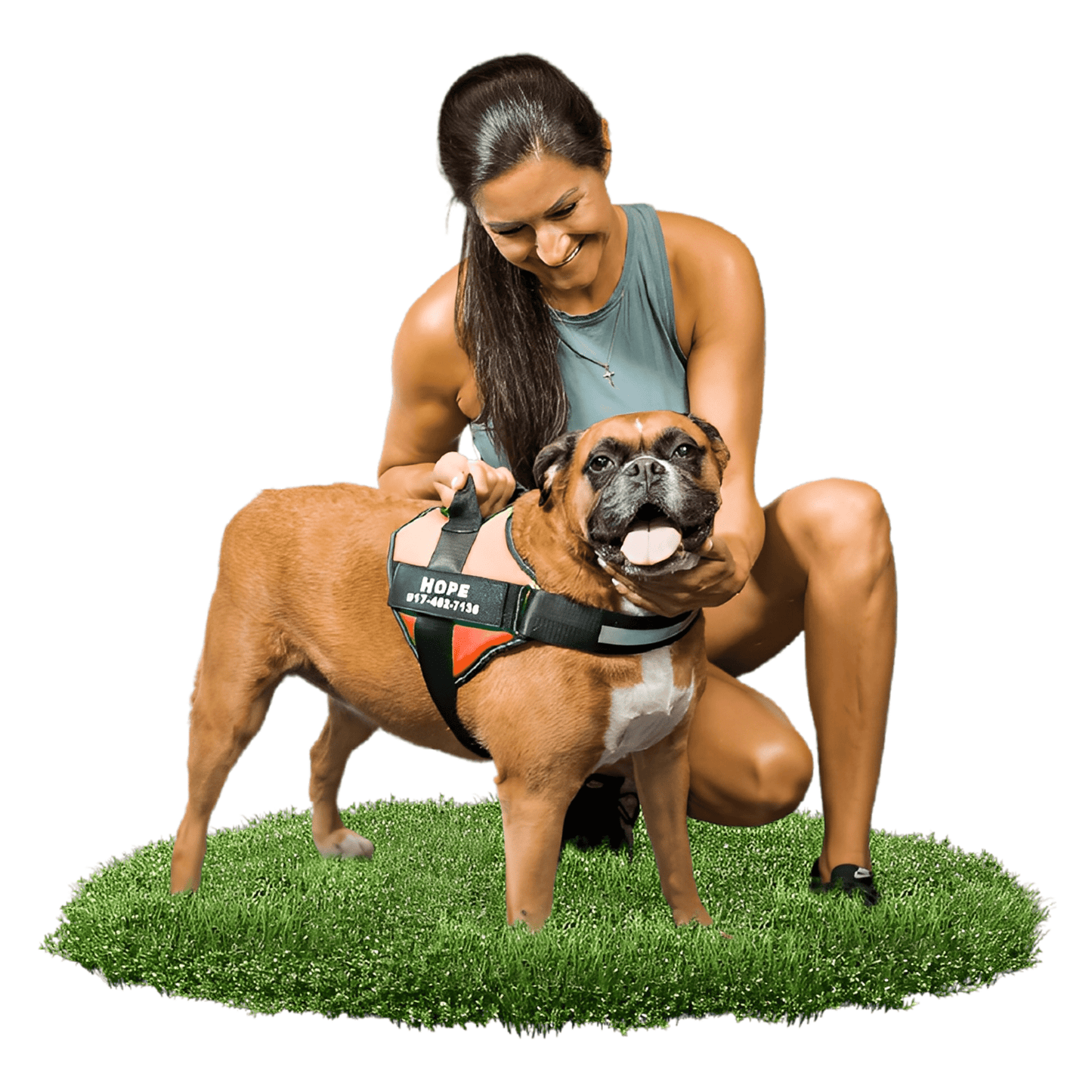 DierComfort™ – Het Gepersonaliseerde No-Pull Veiligheidstuig voor Honden