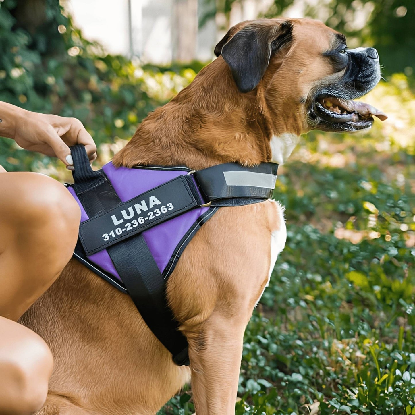 DierComfort™ – Het Gepersonaliseerde No-Pull Veiligheidstuig voor Honden